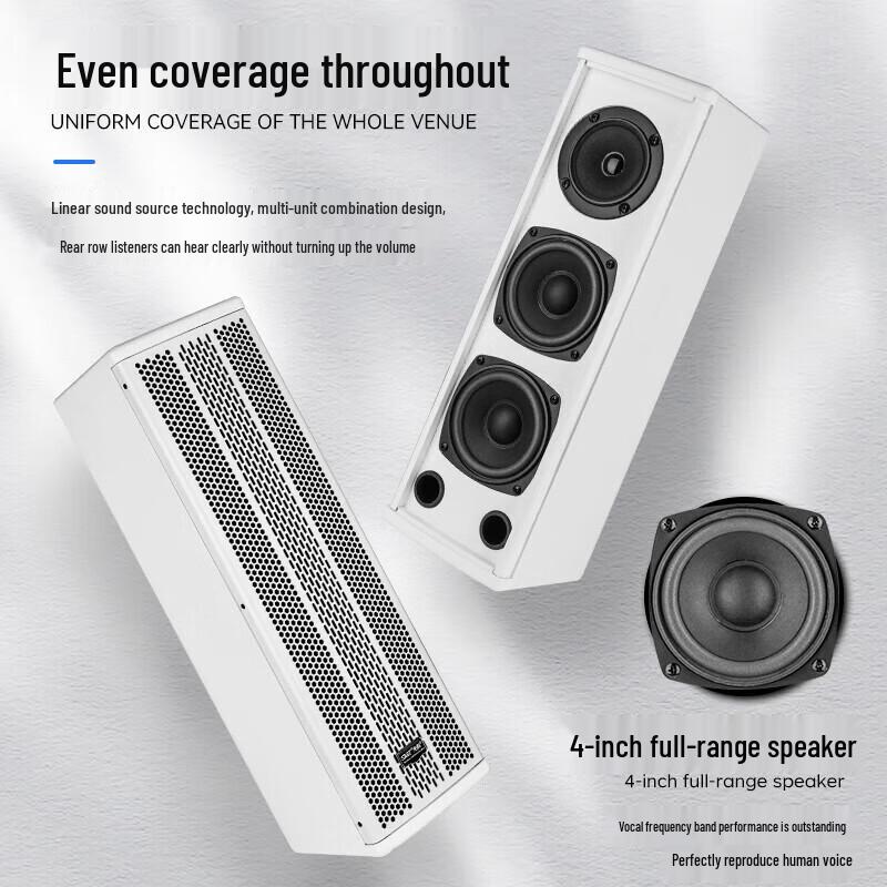 SAST Conference Room Wall-Mounted Speaker System CN plug (adapter included)