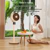 Xiyou Air Circulating Floor Fan, Detachable with Large Airflow CN Plug (adapter Included)