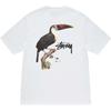 Stussy SS24 TOUCAN TEE T Unisex 1905069
