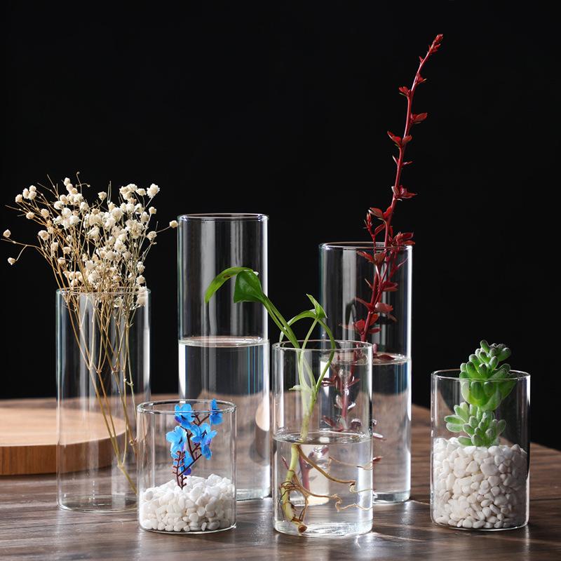 High Borosilicate Glass Hydroponic Vase & Desktop Planter - Straight Tube Design for Artistic Arrangements and Moss Ecosystem