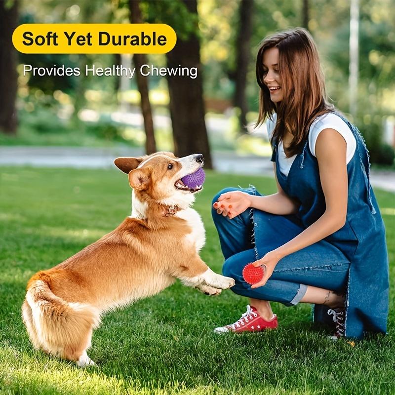 6 palline giocattolo resistenti per cani: Palline squittenti per la pulizia dei denti, il digrignamento e l'addestramento - Sicure per cani di piccola taglia e senza BPA, giocattoli per animali domestici