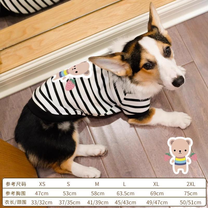 Pet Corgi Dog Clothes Spring and Autumn Clothing Anti-hair Loss Teddy Bichon Shiba Inu Small Dog Two-legged Striped Sweater Winter