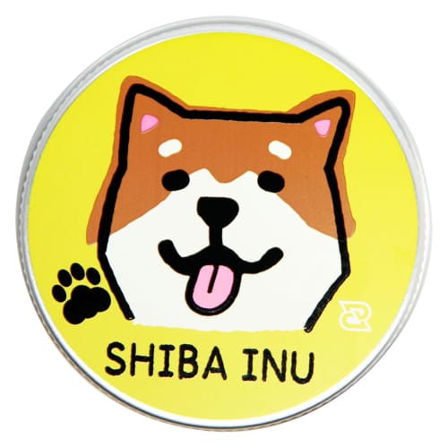 

Daiking Corporation Guitar Pick Case, Aluminum Tin Case, Silver