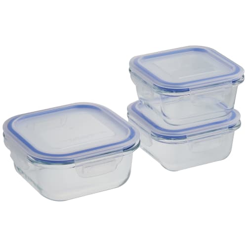 Wahei Freiz Microwave and Oven Safe Heat-Resistant Glass Containers, 300ml X 2 & 510ml Resh ME-7396