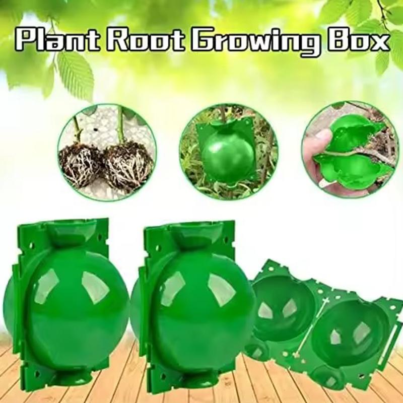 5PCS/Pack Green Plant Rooting Box High Pressure Propagation Ball Reusable Plastic Breeding Container Nursery Garden Supplies ZYF