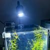 Aluminum Mixture Fish Container Clip Lamp Customizable Brightness Degrees Energy Saving LED Technology