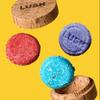 [Lush] New Solid Shampoo Bar 55g