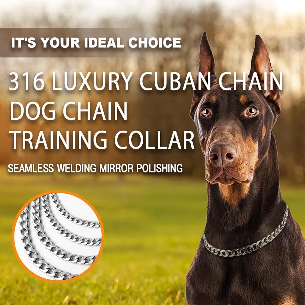 Luxury Flat Chain Design Professional Training Chain Collar, Stainless Steel Dog Training Collar, Professional Flat Chain Design, Mirror Polished