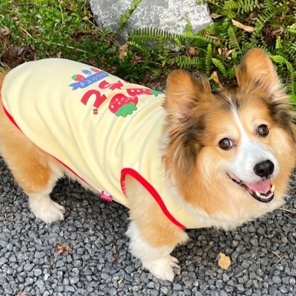 Dog Pullover Vest Strawberry Pattern Dog Vest Thin Fabric Breathable Puppy T-Shirt Sunscreen Sleeveless Cooling Vest Photography