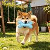 Hundeleckerli-Spender-Spielzeug Stacheliger Knochen Hundekauspielzeug Hundezahnreinigungspielzeug für Welpen Zahnungsangst Linderung