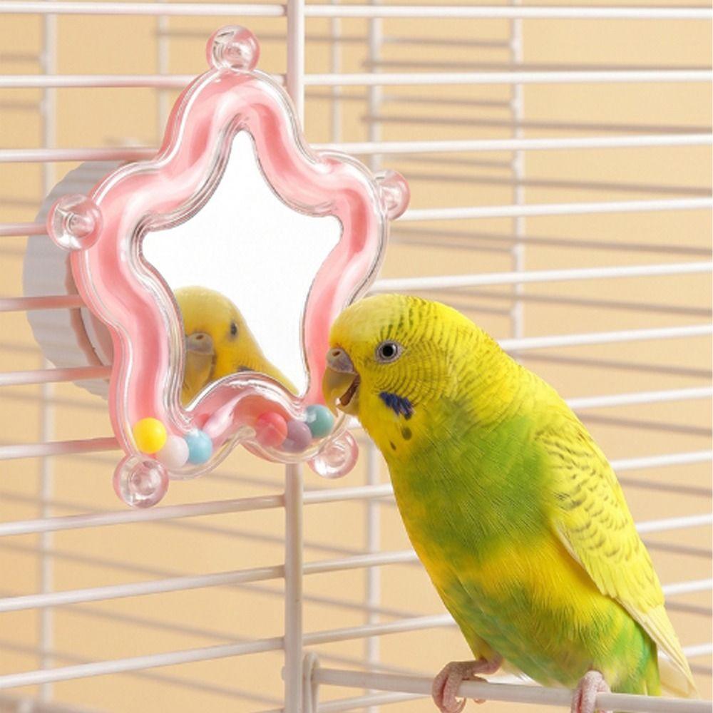 Colorful Beads Star Rotating Parrot Mirror Toy Mirror Parrot Interactive Toy  Bird Supplies