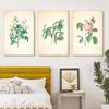 Antique Flowers Botanical Canvas Painting Vintage Plants Posters Room Wall Art Decor Retro Floral Pictures For Home Decoration