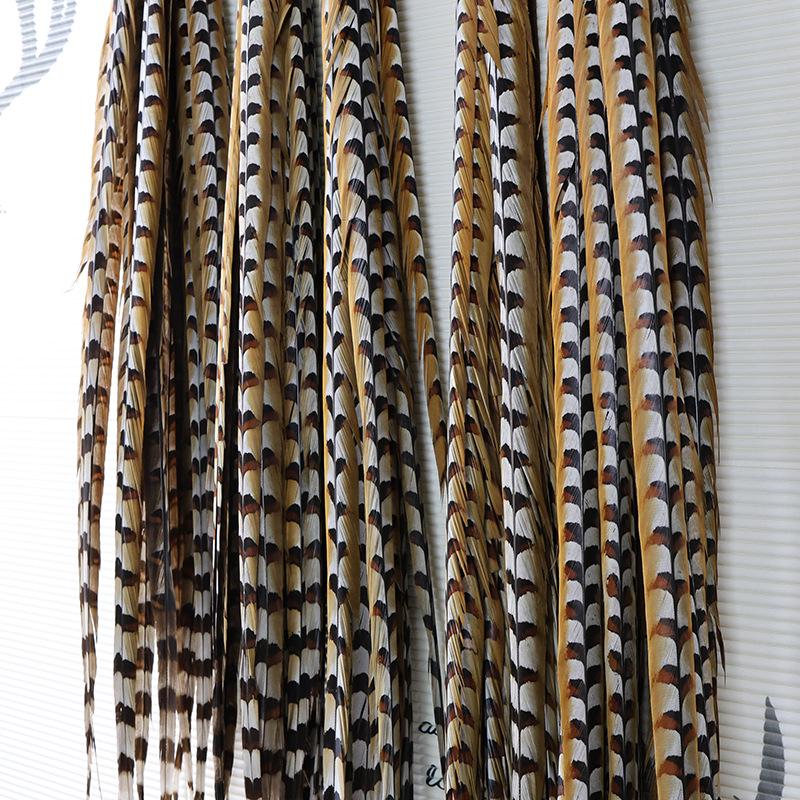 Pheasant Feather Long Plumes for Peking Opera Performance - Sun Wukong Theme