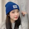 Cute headgear wool hat women's spring and autumn knitted hat women's winter warm and trendy versatile suitable for big head circumference