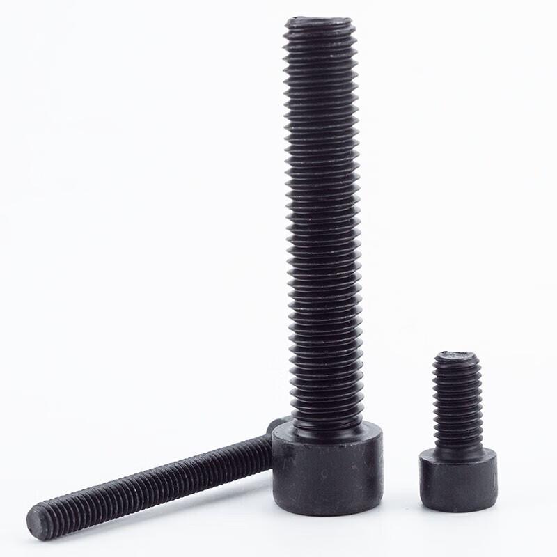 WENSTAAN Grade 8.8 Blackened Carbon Steel Hex Socket Cap Bolts
