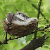 1Set Simulation Gefälschte Vogel Nest Natur Kreis Vogel Käfig Set Gartenarbeit Dekorationen