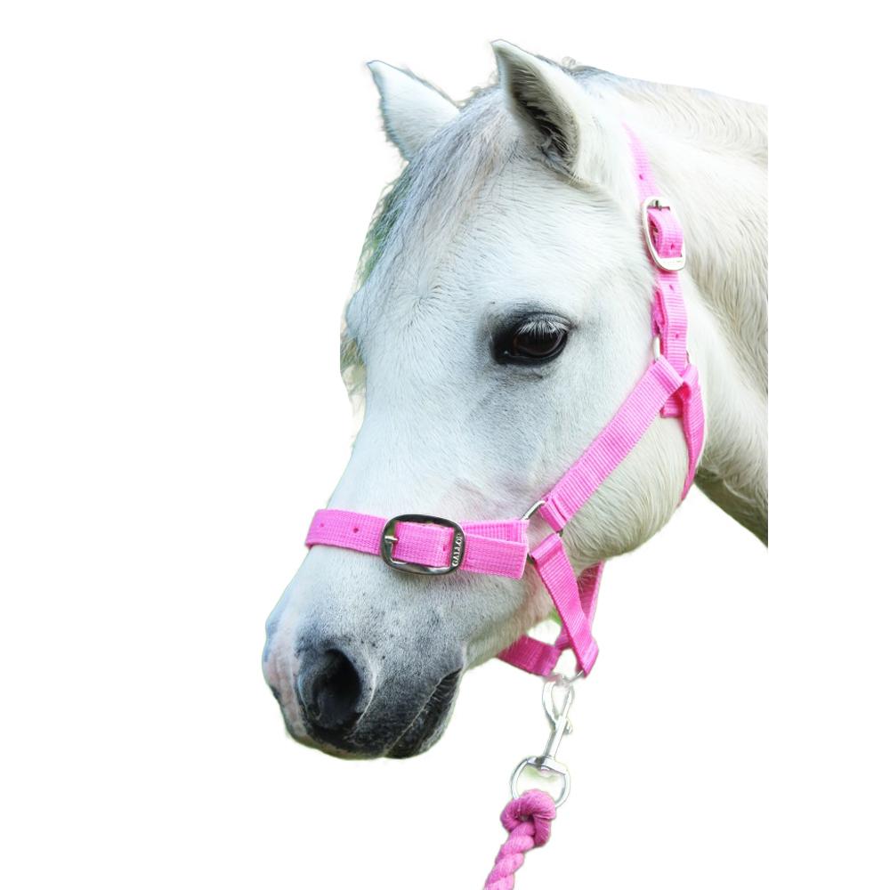 Gallop Horse Headcollar and Leadrope Set