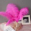Color 20-25Cm Ostrich Hair Vase Ornament Wall Feather Decoration Hand Bouquet Flower Arrangement Diy Material