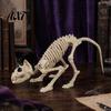 Vivid Scary Skeleton Decor Halloween Animal Skeleton, Realistic Fish Bird Spider Snake Cat Durable Model for Party, Haunted House, Graveyard