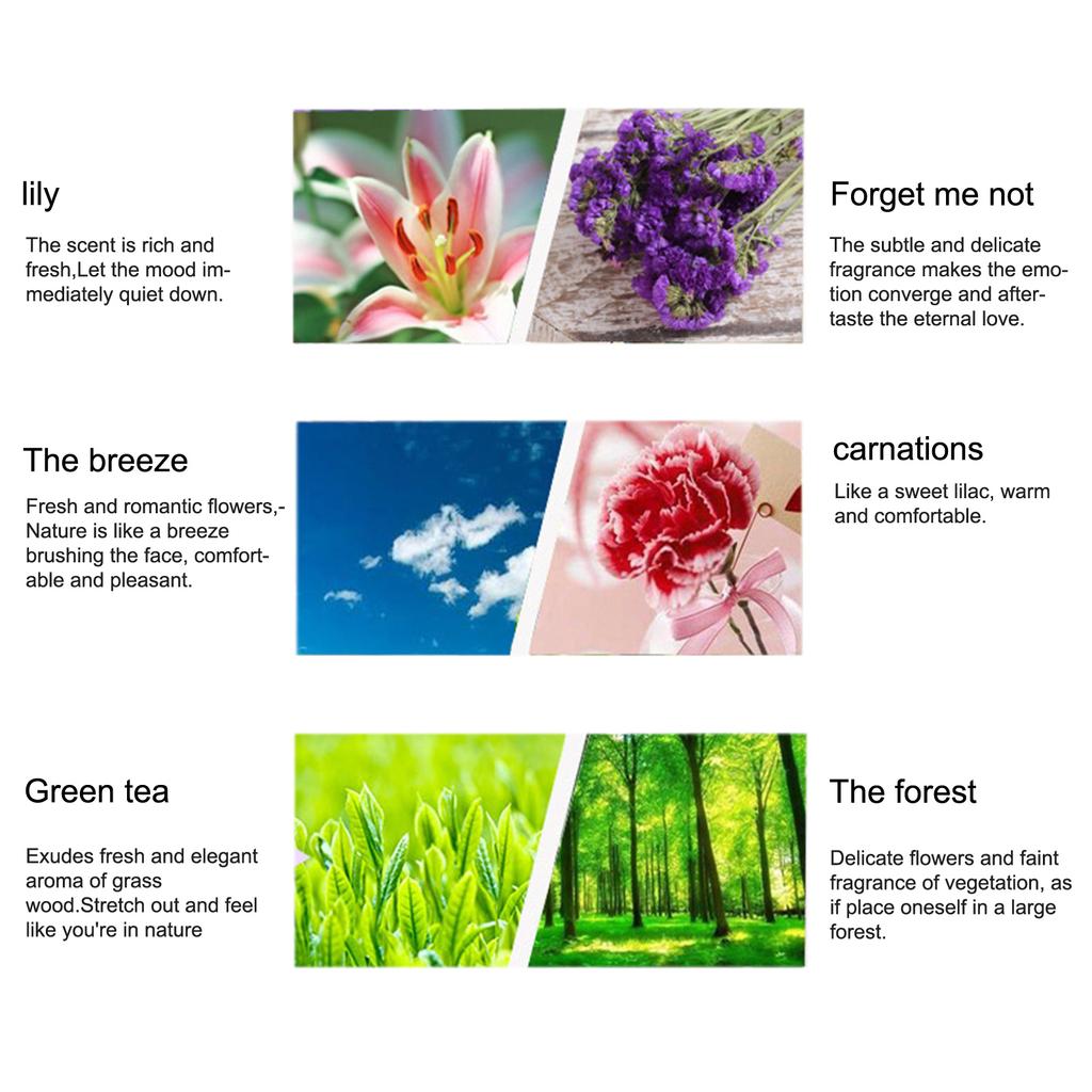 3ML 12PCS Conjunto de óleos essenciais naturais solúvel em água Aroma Óleo essencial de aromaterapia para óleo