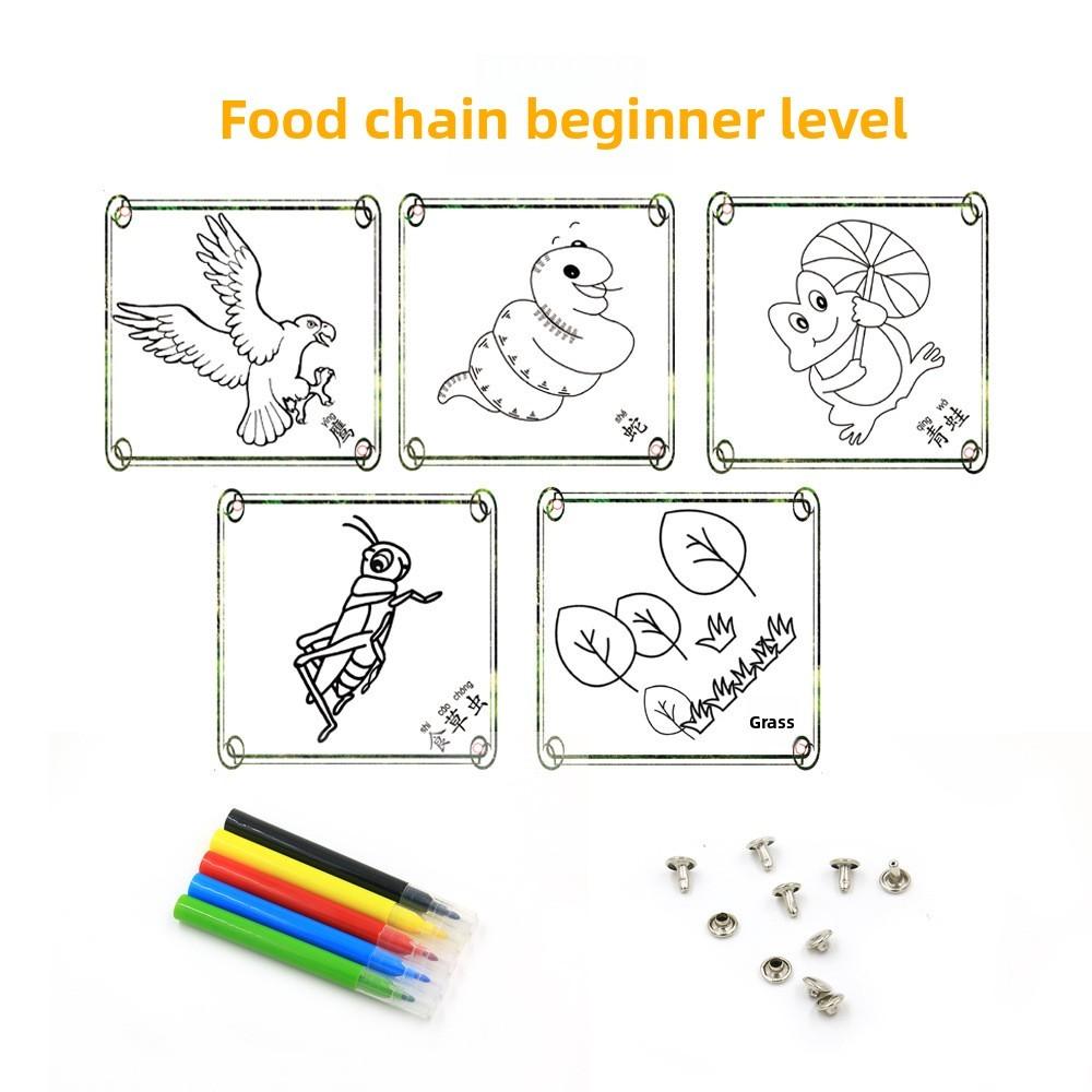

Science Experiment Food Chain Diy Kit For Kids Educational Handson Activity