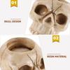 Skull Holder Resin Halloween Tealight Stand Spooky Decor For Home Party Dining Table Gothic Candlestick Desktop