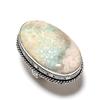 Fossil Coral gemstone 925 Sterling Silver Jewelry Ring Size 7