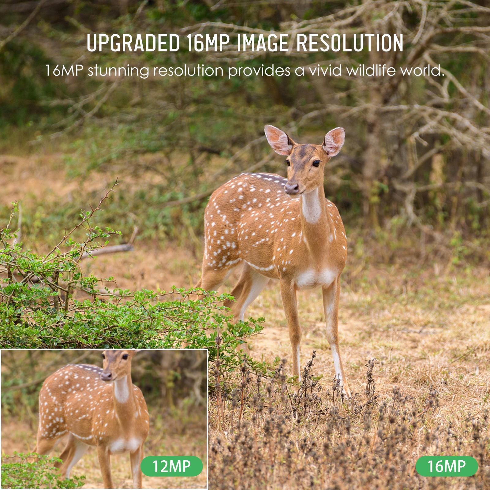 

Trail Camera 16MP 4K Waterproof Game Hunting Camera with Night for Wildlife Monitoring Hunting