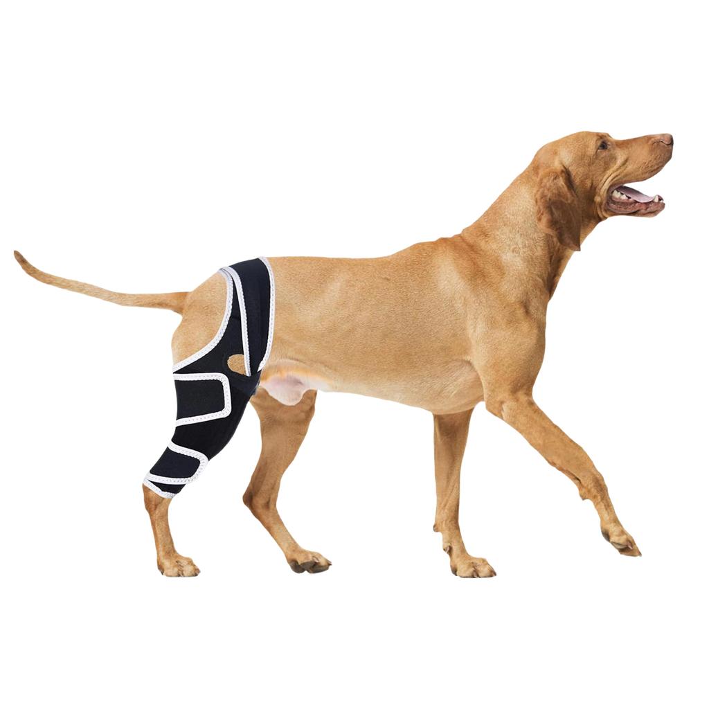 Strong Support Knee Dog Knee Brace For Back Leg