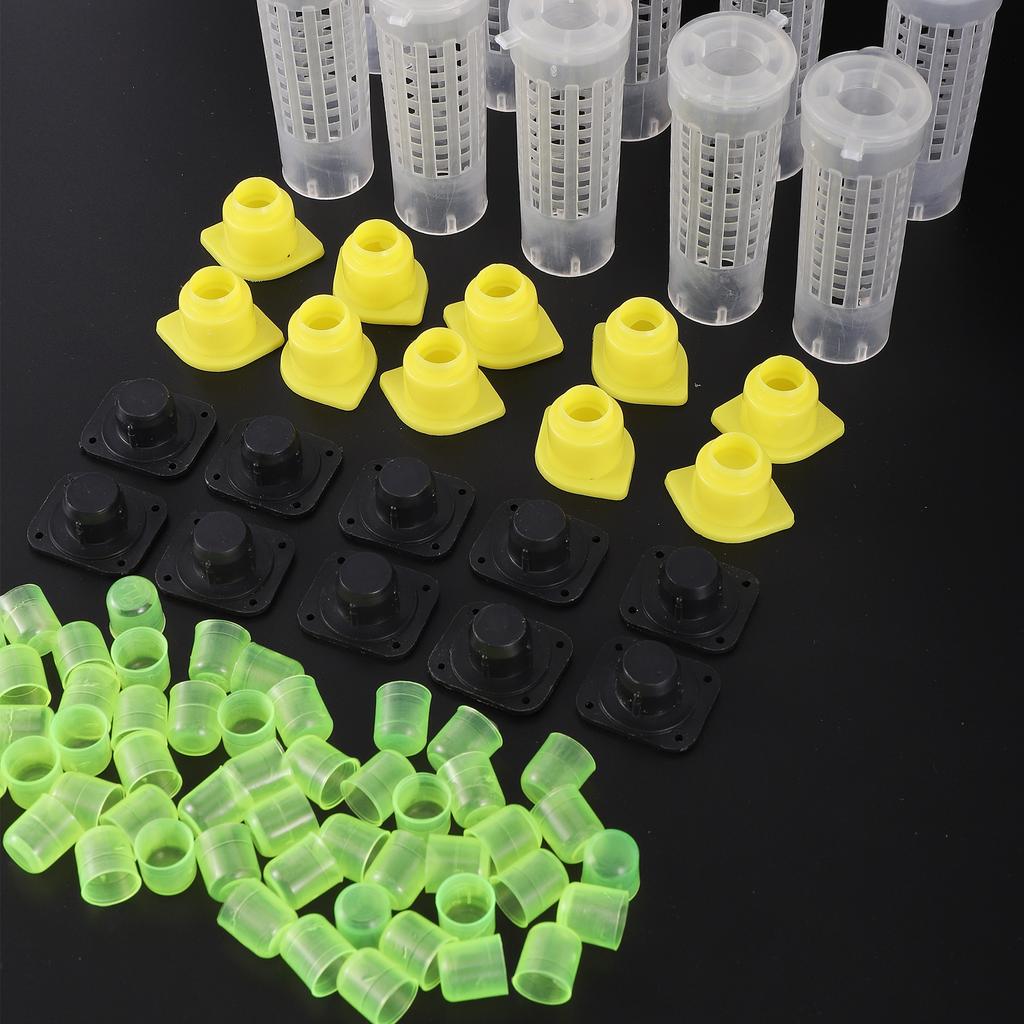 1 Set Beekeeping Cages King Queen Rearing System Plastic Bee Catcher Box Cell Cups Complete Kit Apicultura Tools Supplies