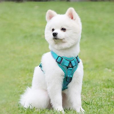 Tookka Comfortable Dog Pet Happy Dog Tookka Harness, Mint, 1 Piece