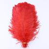 10Pcs White Ostrich Feathers for Wedding Party Decoration DIY Natural Feather Table Centerpiece Vase Craft Carnival Plumas Decor