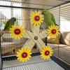 Bite-Resistant Rotating Ferris Wheel With Bearings Interactive Parrot Toys  Bird Cage Accessories