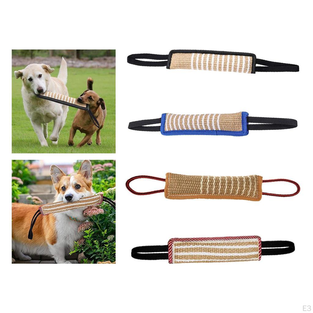 Training Set - Sleeve, Dog Equipment for Training, Biting, Interactive
