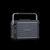 SANSUI Portable KTV Karaoke Speaker with Wireless Mics CN plug (adapter included)