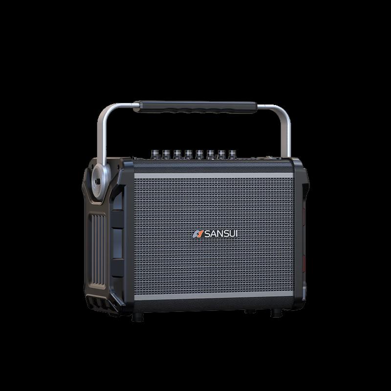 SANSUI Portable KTV Karaoke Speaker with Wireless Mics CN plug (adapter included)