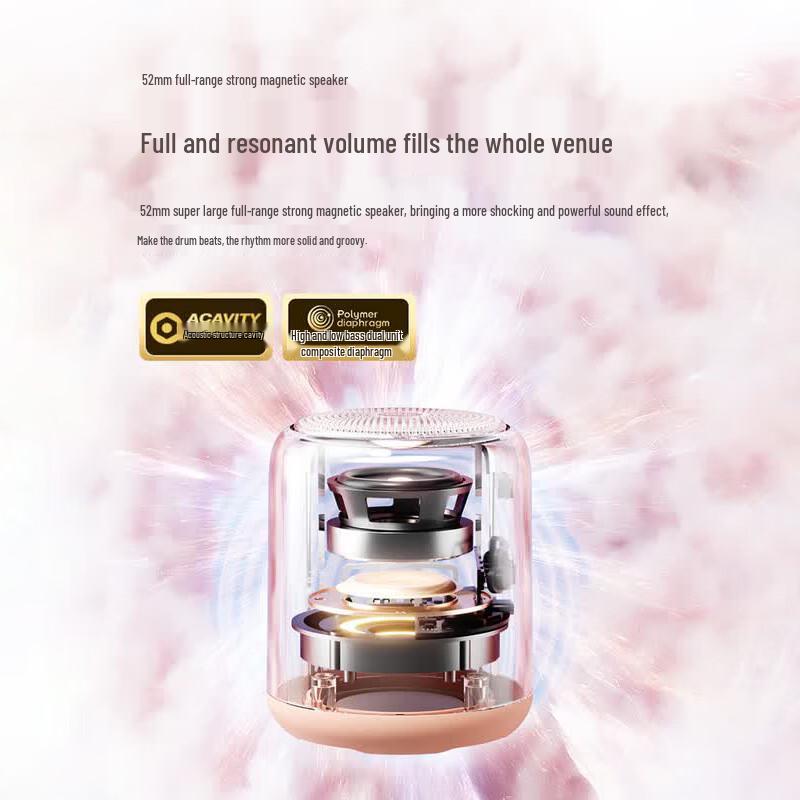 Sainuo X6S Wireless Portable Outdoor Waterproof Bluetooth Speaker (CN version)