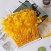 1 Meter Small Butterfly Feather Cloth Edge Turkey Hair Stage Performance Dress Clothing Accessories Accessories