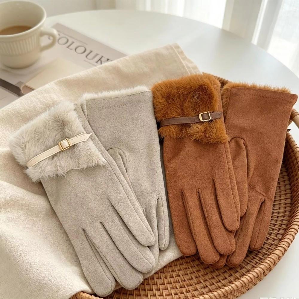 Plush Lining Winter Gloves Warm Thick Gloves New Touch Screen Gloves Women