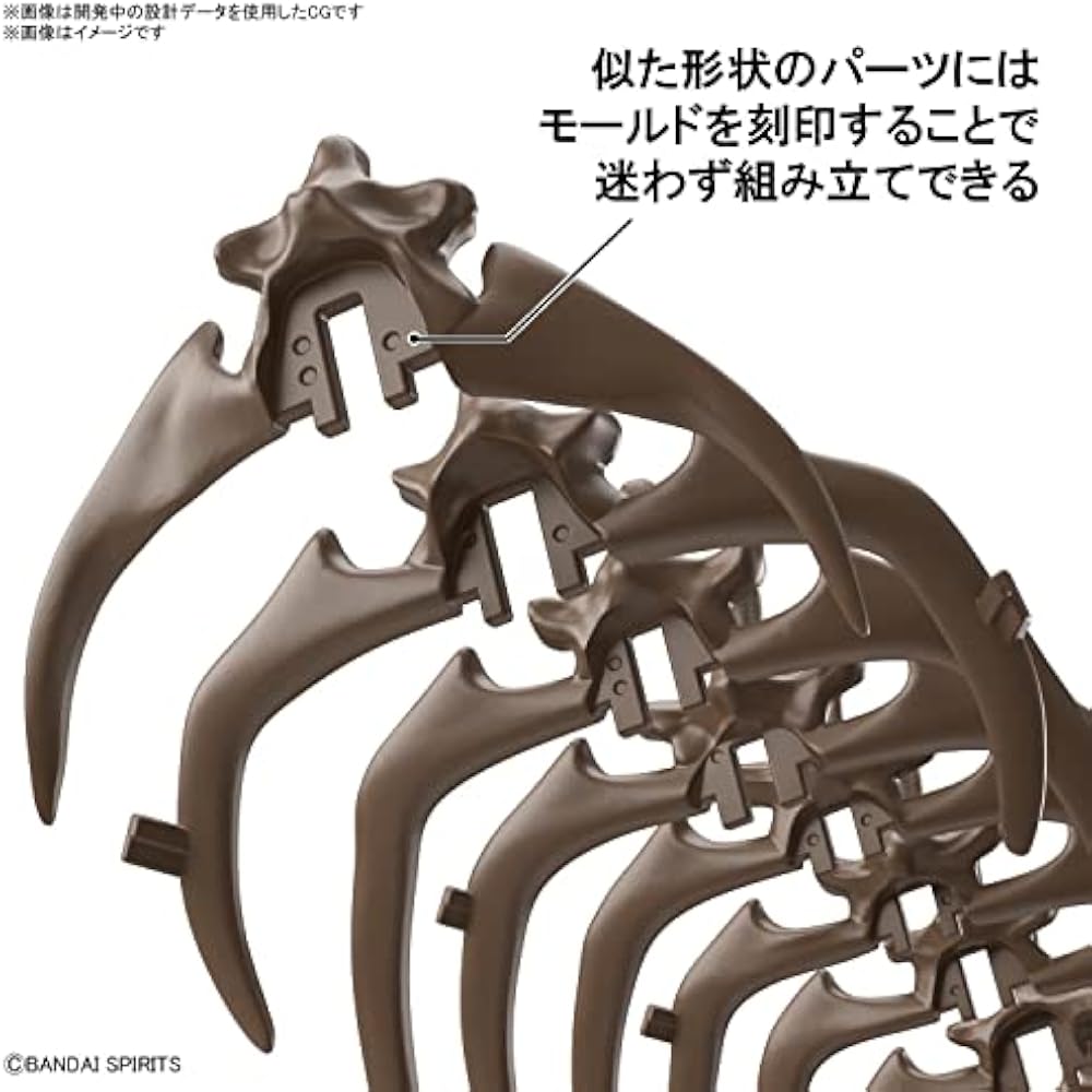 BANDAI SPIRITS (Bandai Spirits) Imaginary Skeleton (Imaginary Skeleton) Triceratops 1/32 scale pl...