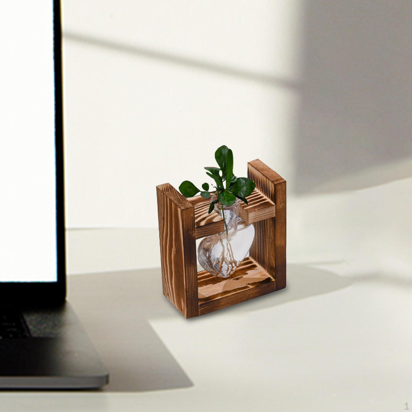 

Шикарный набор стеклянных ваз для современного декора дома и демонстрации растений 1 Glass Vase