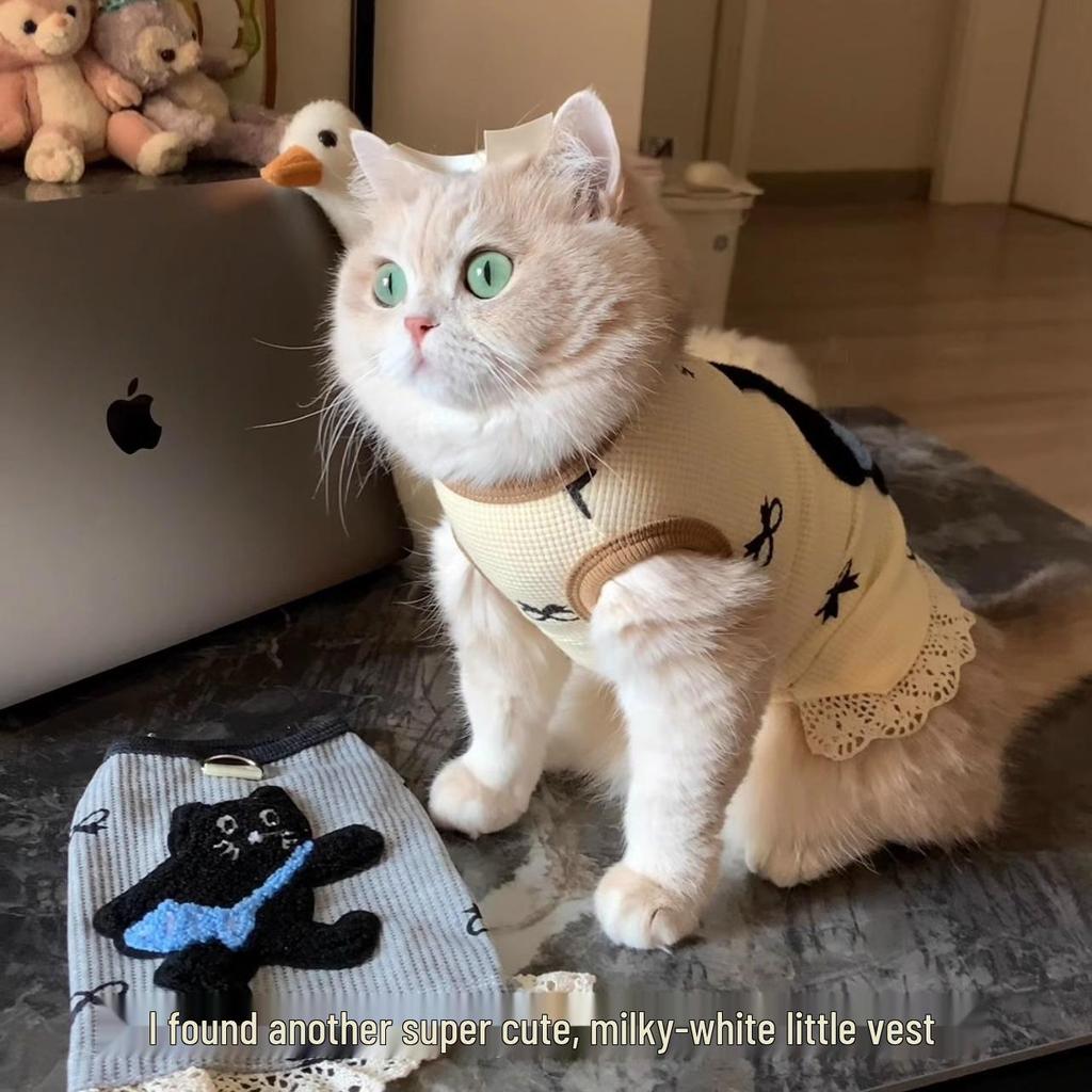 Trendy Lace Patchwork Gold Gradient Vest for Cats & Small Dogs