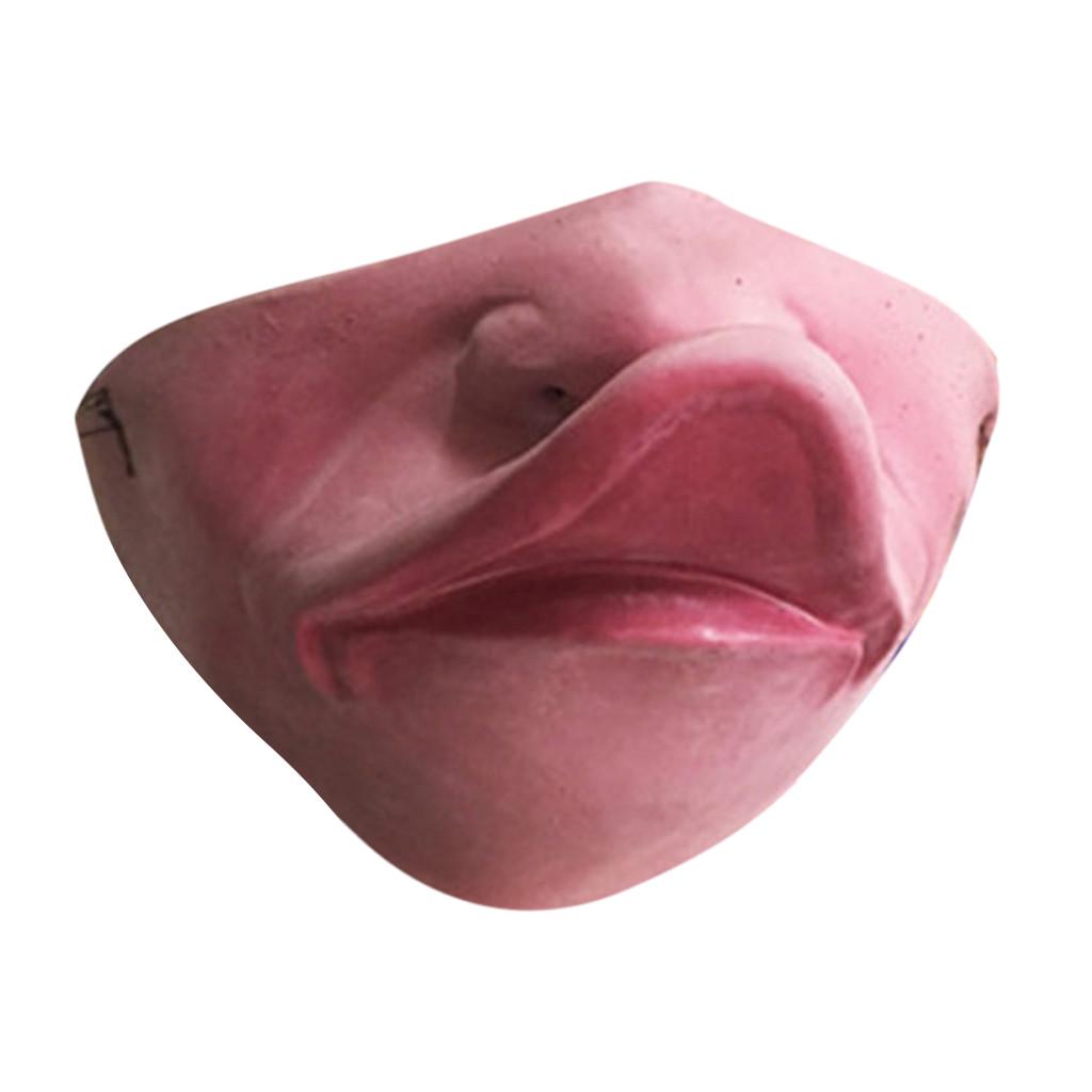 Mask Big Lips Headgear Pet  Mask