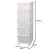JEJ SEEDS Slim Chest, 5 Drawers, with Casters, Clear, SIU-5-CL