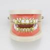 hot! Gold Electroplating Fashionable Hollow-out Teeth Grillz Set Teeth Socket Shiny False Teeth for
