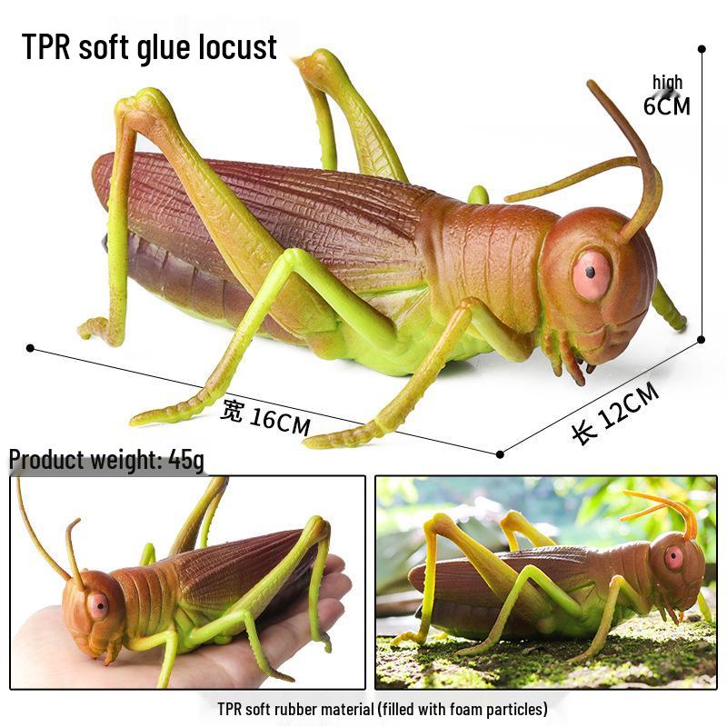 Children’s Cognitive Insect Simulation Squeeze Toy - Soft Rubber Ornament for Stress Relief