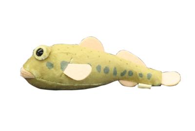 Take Off Pish - A Small, Colorful Fish Plush Toy That Makes a "beep" Sound When You Press Its Belly.