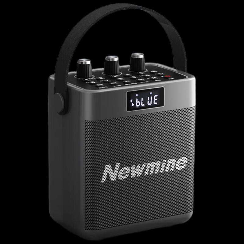 

Newman K519 Portable Bluetooth Karaoke Speaker CN plug (adapter included)