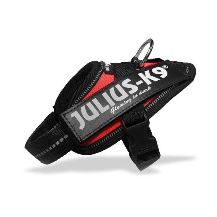 Dog Harness - JULIUS K9 - IDC 0/ML - Red