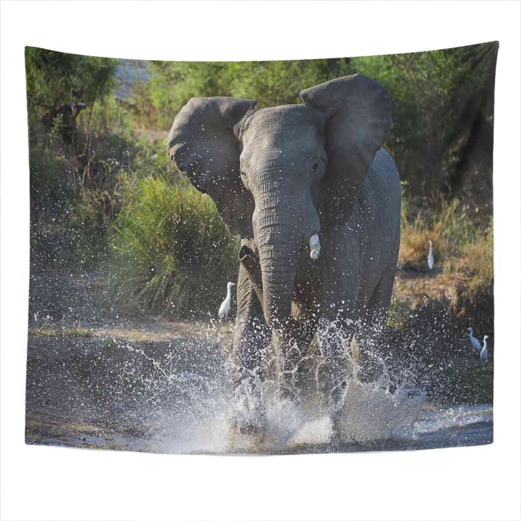 

Забавный гобелен со слоном, гобелен цвета слоновой кости, украшение для спальни, комнаты, настенный тапиз 100X75CM